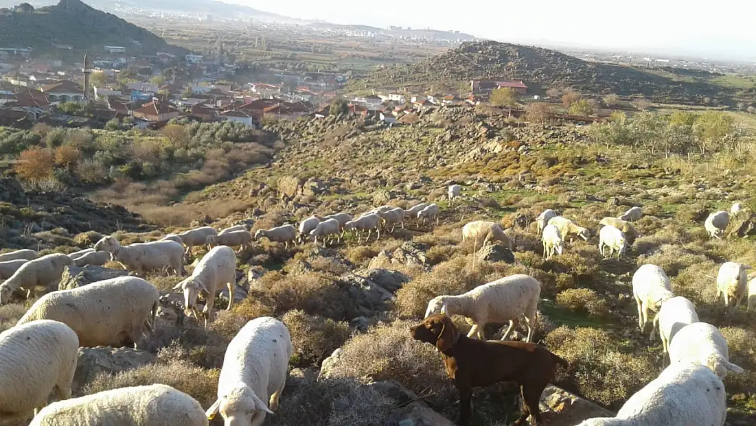 Menemen Doğa mahallesi ayakta