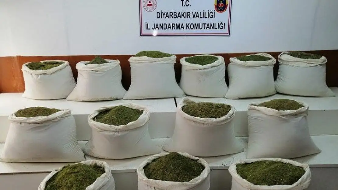 167 kilo toz esrar ele geçirildi!