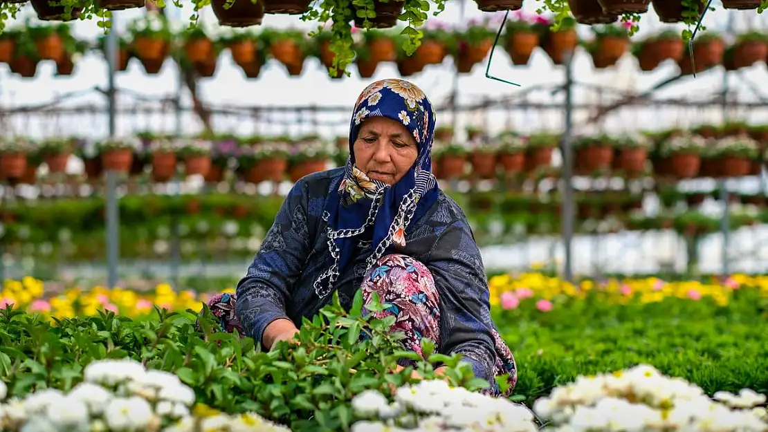 24. Uluslararası Bayındır Çiçek Festivali başlıyor