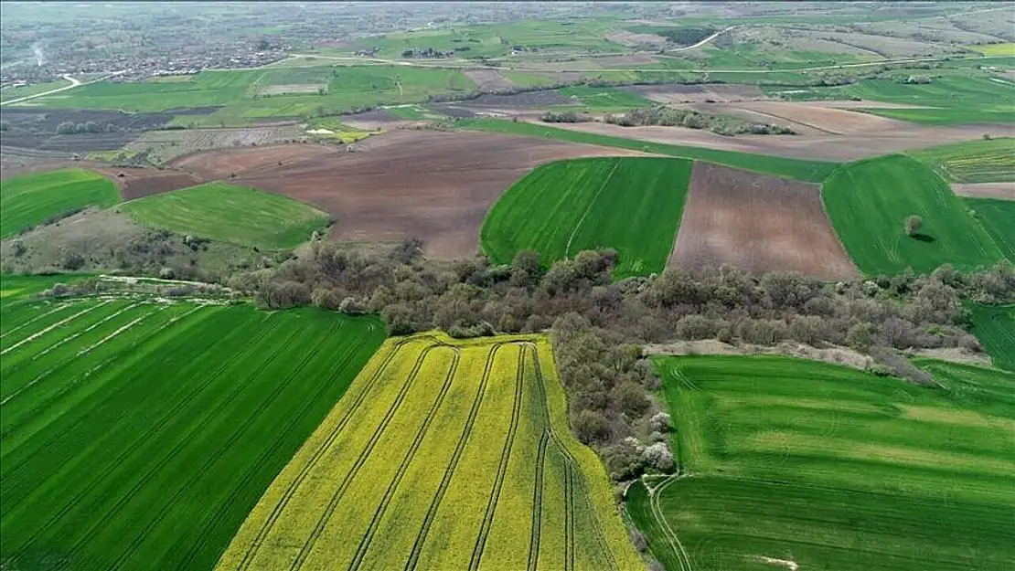 2B arazilerinde tapu süreci başladı: 2B arazisi nedir, kimler alabilir? 2B arazisinden kimler faydalanacak?