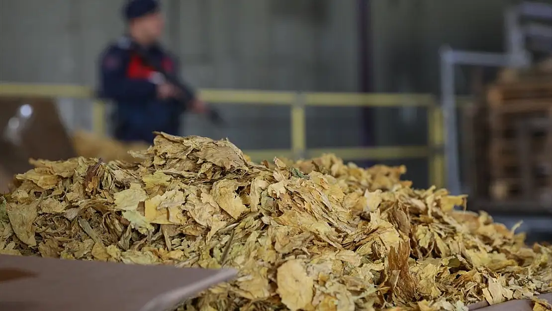 39 ton 601 kilogram kaçak tütün ele geçirildi