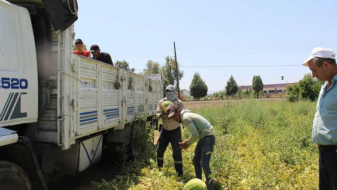 40 Derece sıcakta yaşam mücadelesi veriyorlar