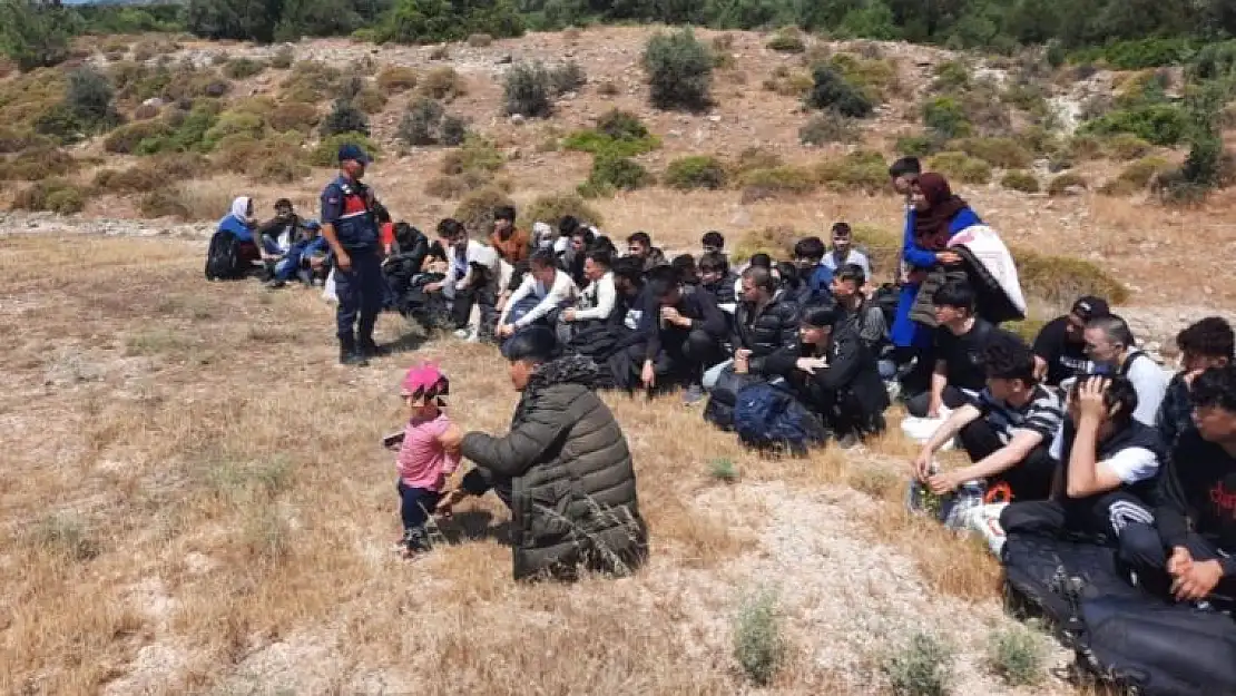 475 düzensiz göçmen yakalandı, 14 insan kaçakçısı tutuklandı