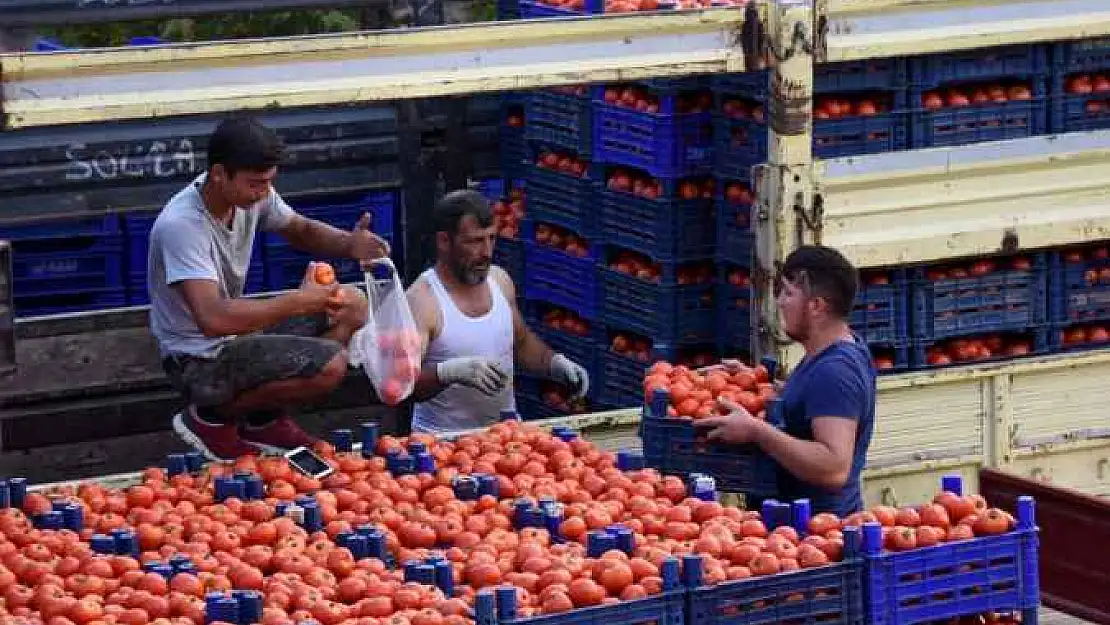 5 kilo domates 1 simit etmiyor