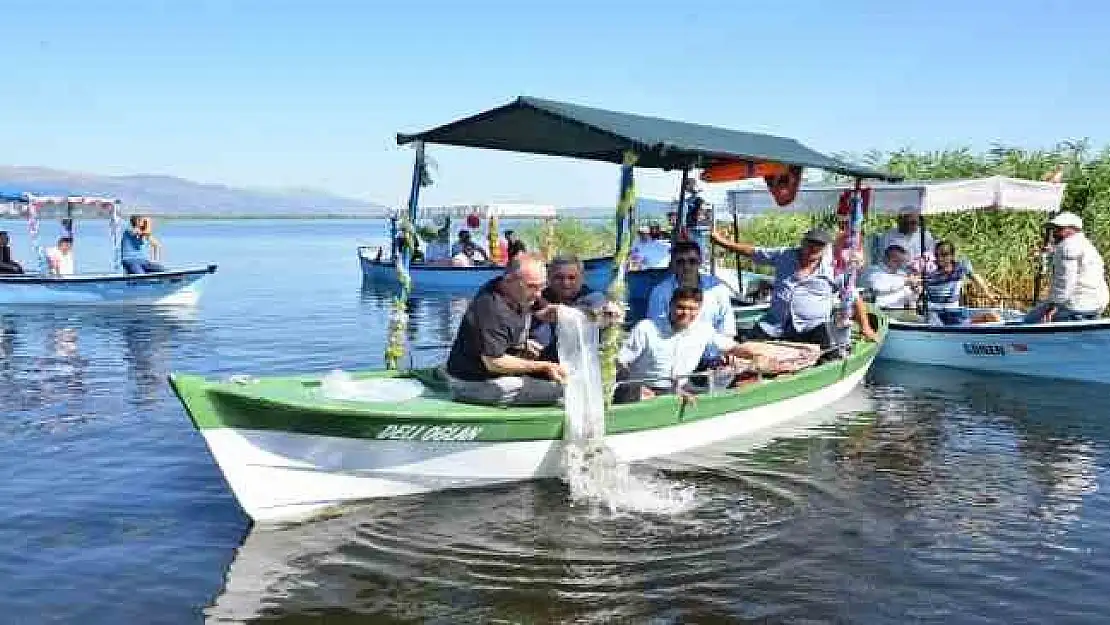 765 bin sazan yavrusu suyla buluştu