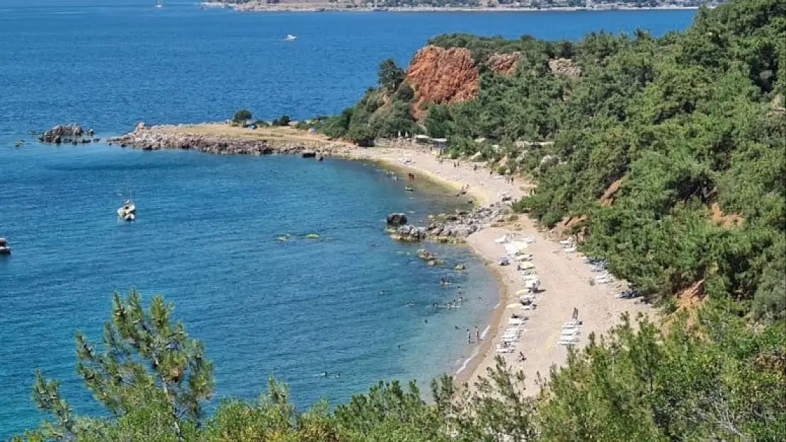 Ada kıyıları için belediye harekete geçti