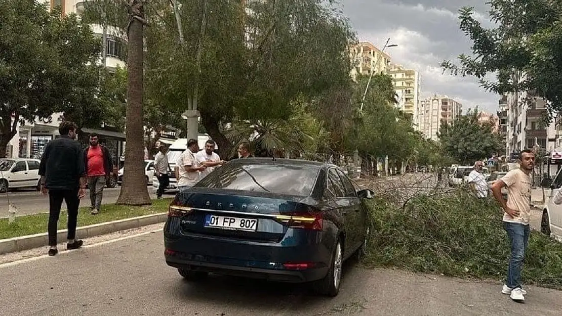 Adana'da kuvvetli yağış ve rüzgar etkili oldu