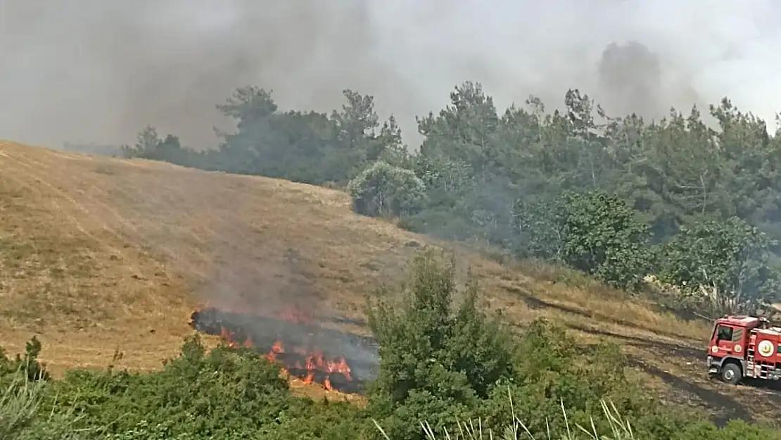 Adana'da yangın ağaçlara sıçradı