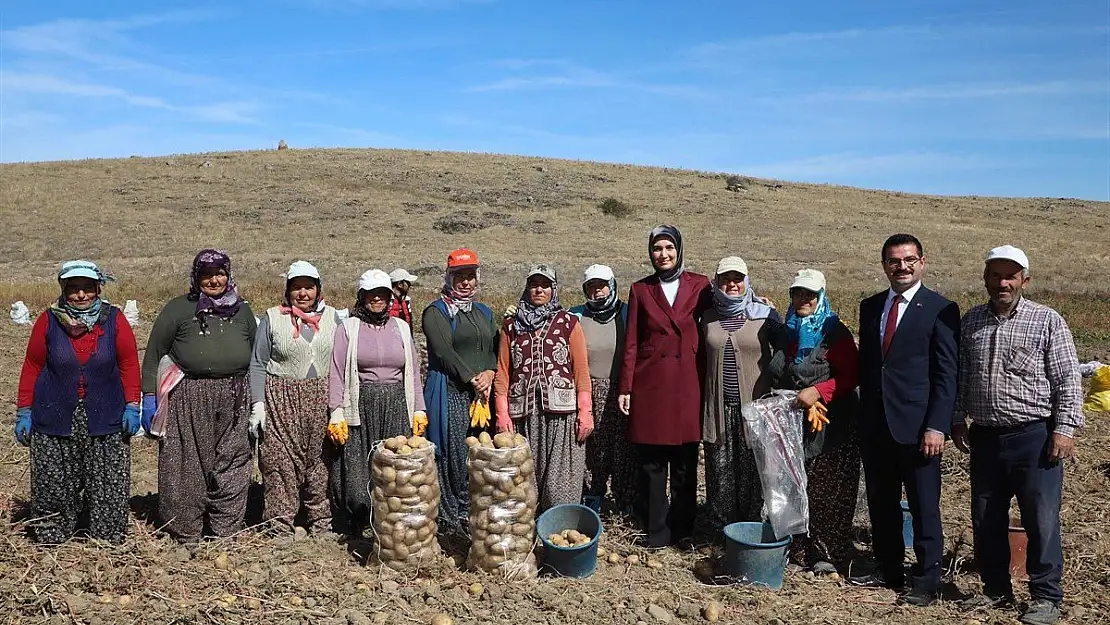 Afet bölgesinde üretilemeyen nohut Afyon'da üretilecek