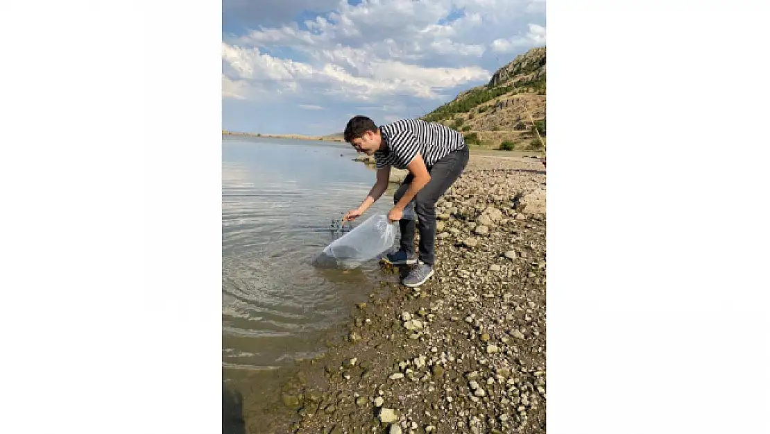 Afyon, Şuhut'ta göletlere 115 bin yavru sazan balığı bırakıldı