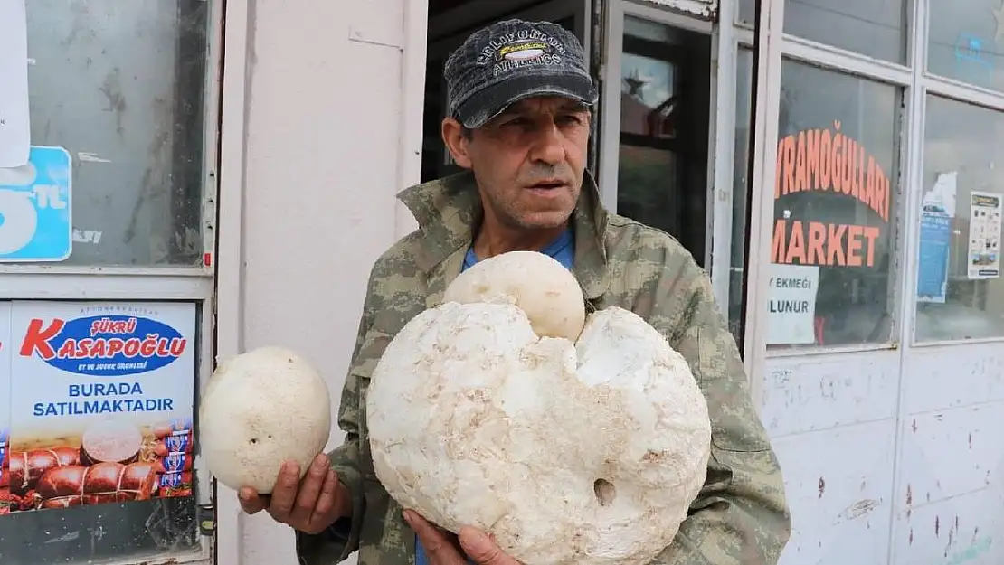 Afyon’da dev mantarı gören vatandaşlar şaşırdı