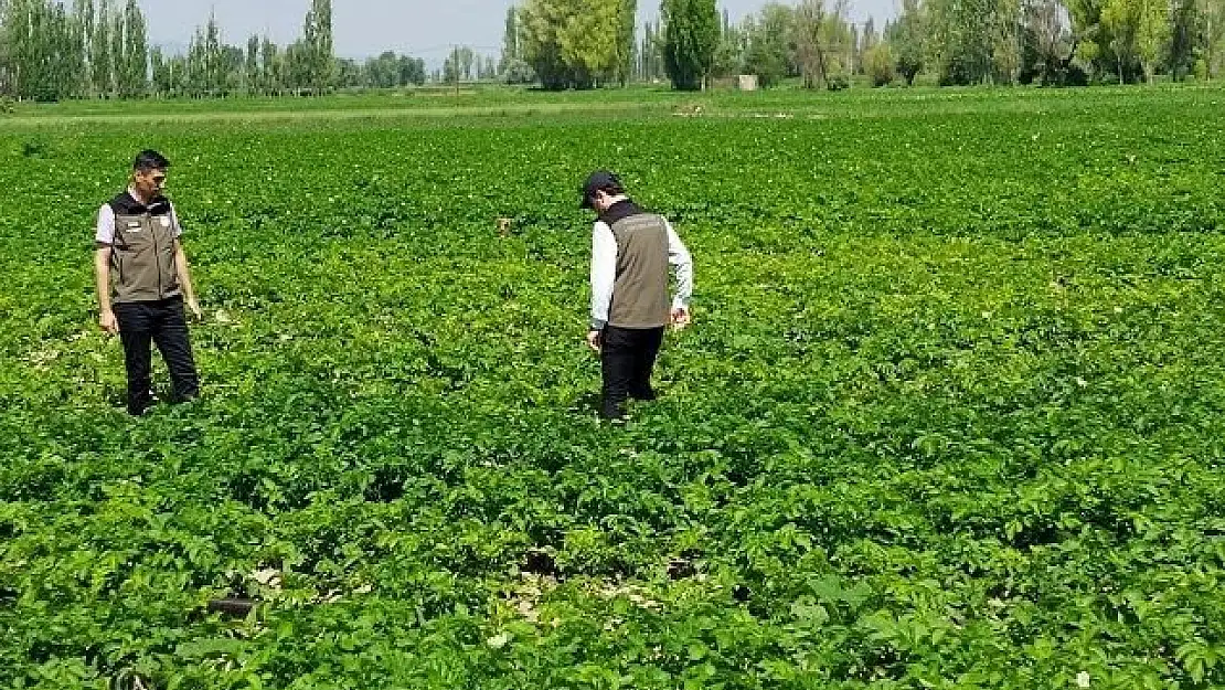 Afyon’da patates üreticileri bilgilendirildi