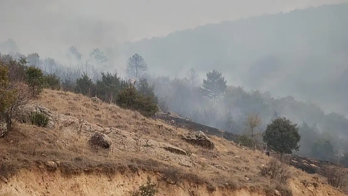 Afyonkarahisar'da orman yangını başladı! 