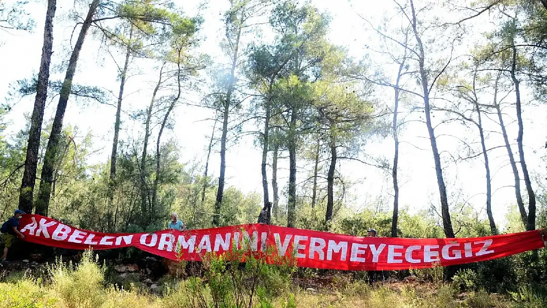 Akbelen Ormanı’na sabaha karşı baskın