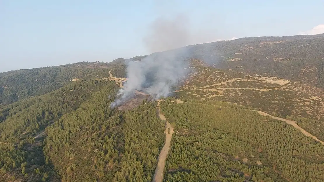 Akseki'deki orman yangını kontrol altına alındı