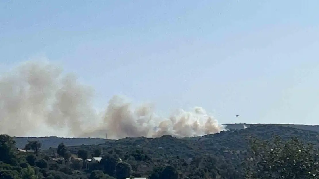 Alaçatı'da orman yangını çıktı