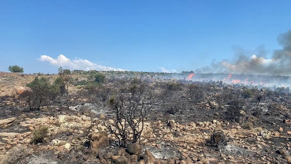 Aliağa’da makilik alanda yangın!