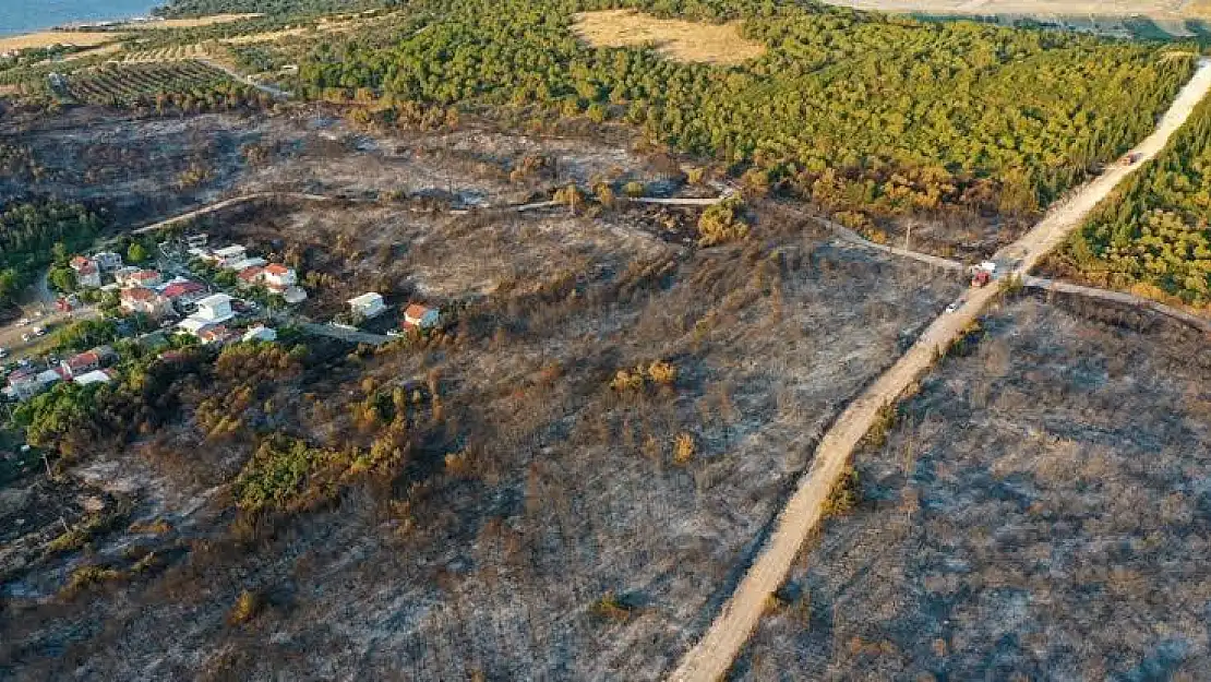 Aliağa’daki orman yangınında suçlu bulundu