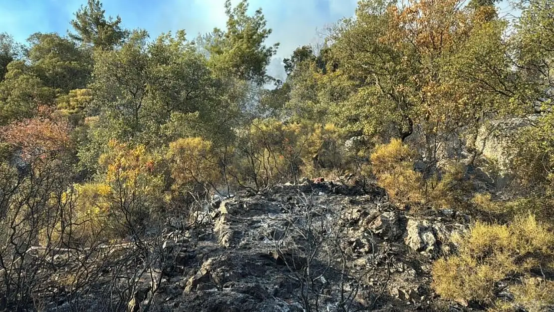 Antalya'daki orman yangını kontrol altına alındı mı? 