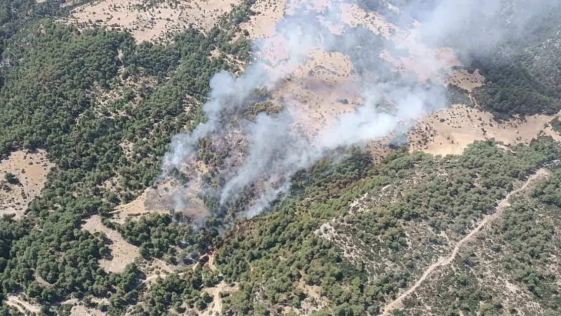 Antalya Kaş'ta 17 hektarlık orman yandı