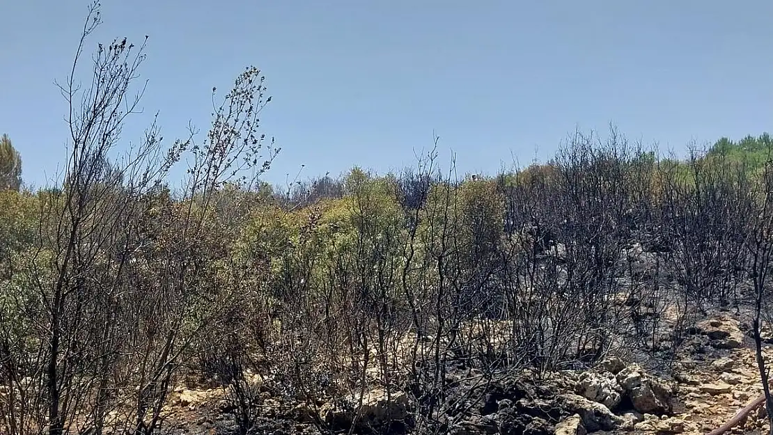 Antalya’da 2 hektar alan zarar gördü