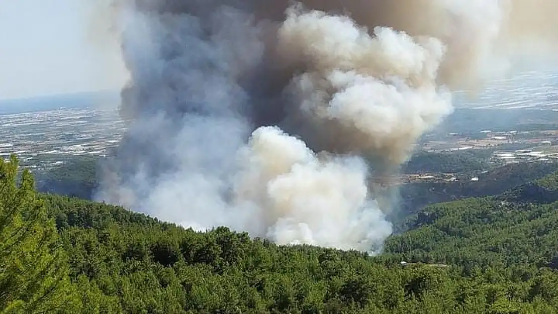 Antalya’da orman yangınına havadan ve karadan müdahale