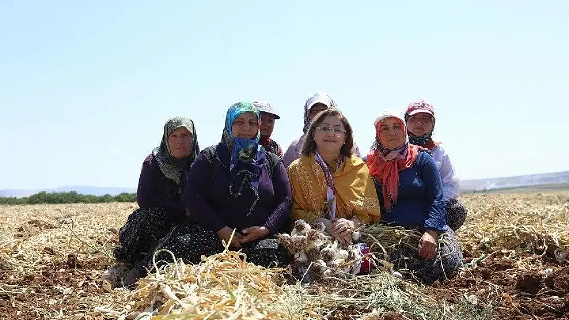 Araban Sarımsağı, Avrupa Birliği’nde tescillendi