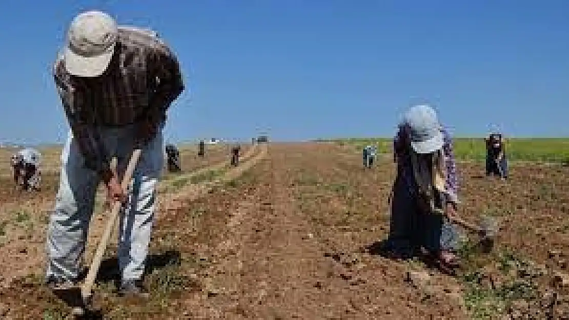 Aşırı sıcaklar mesai saatlerini değiştirdi