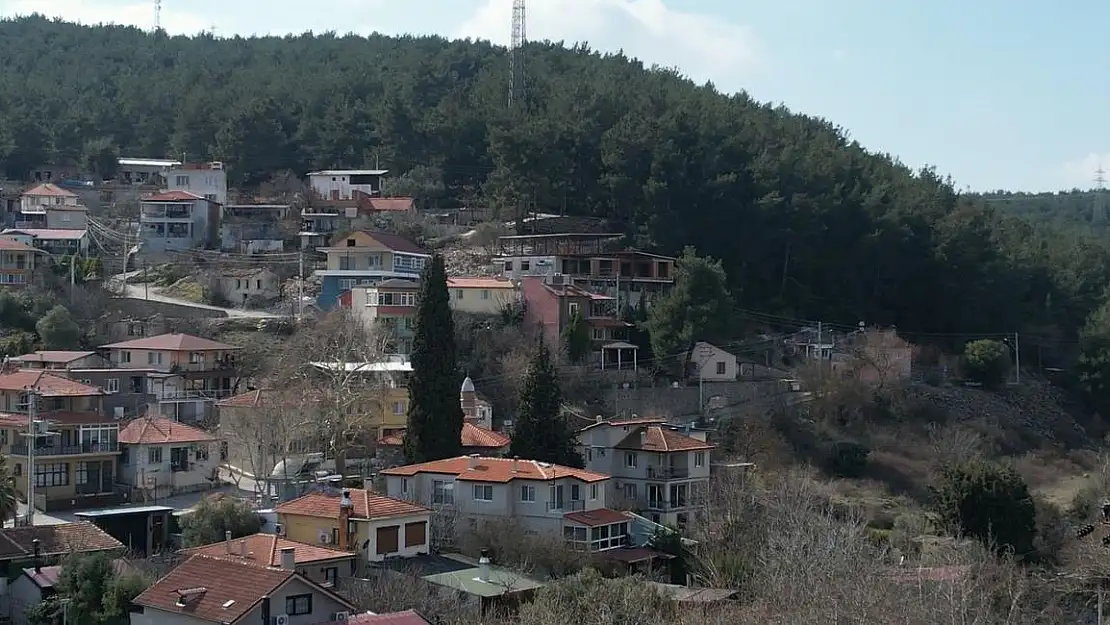 Asırlık cami ve ormana gözü gibi bakıyorlar