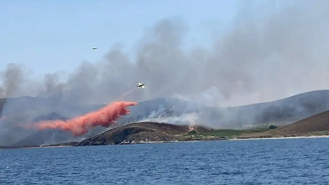 Avşa Adası’nda yangın!