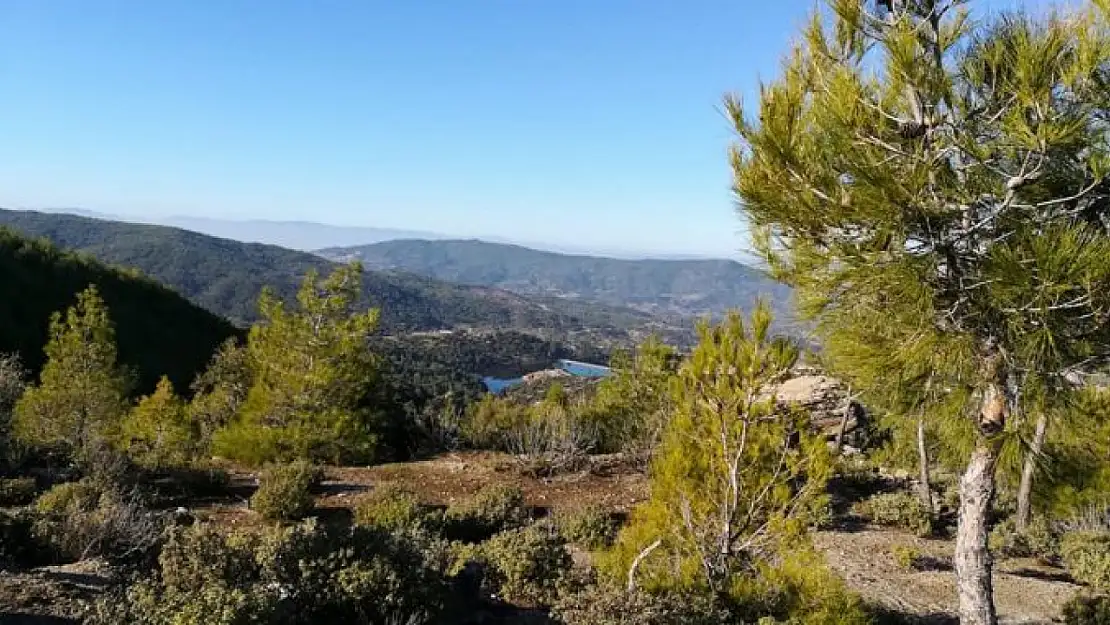 Aydın'daki şiddetli patlamanın sebebi ne?