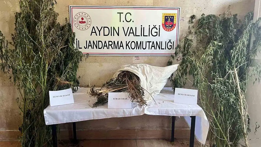 Aydın, Germencik'te uyuşturucu operasyonu: 1 gözaltı