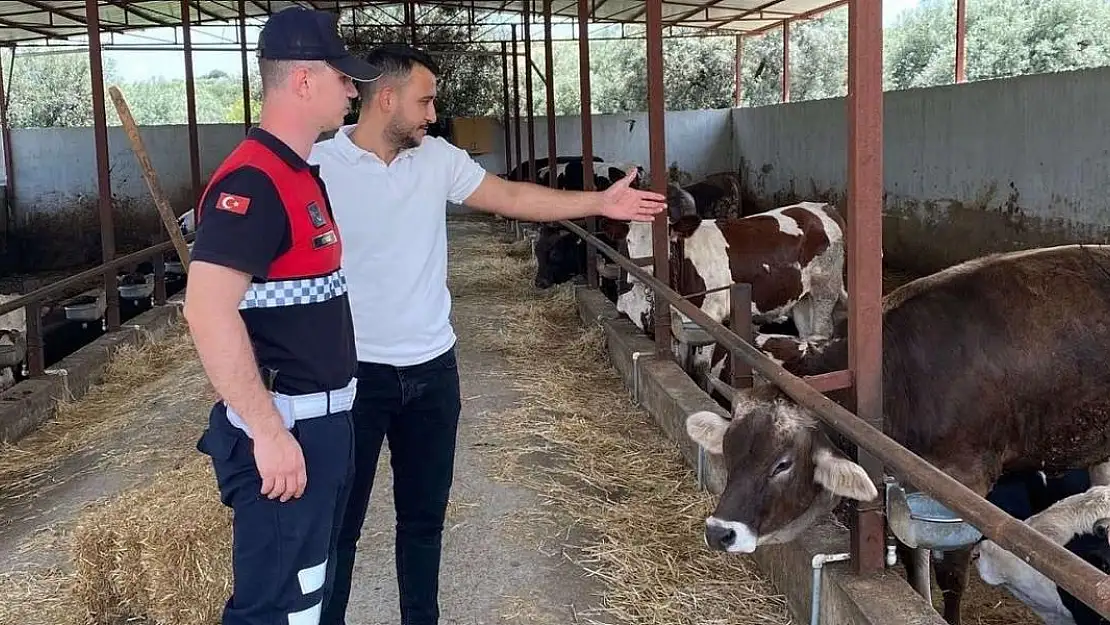 Aydın’da jandarma ekipleri Kurban Bayramı öncesi uyardı