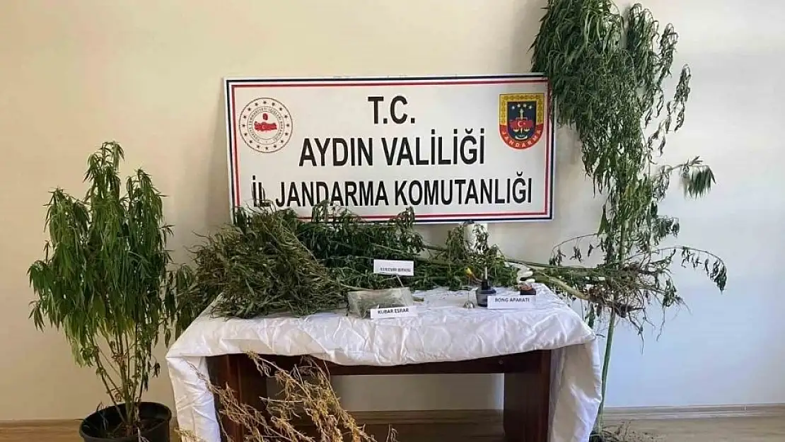 Aydın'da jandarma uyuşturucudan 26 şüpheliyi yakaladı