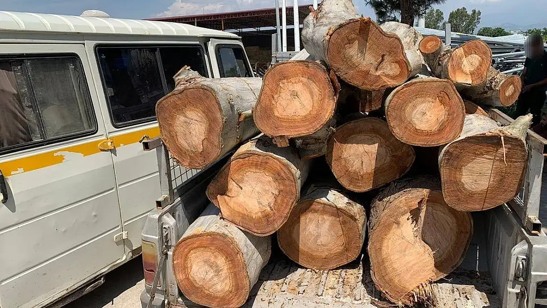 Aydın’da odun hırsızları yakalandı