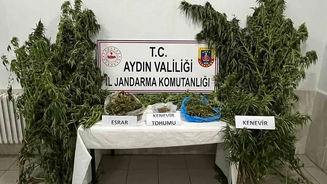 Aydın’da uyuşturucu operasyonu