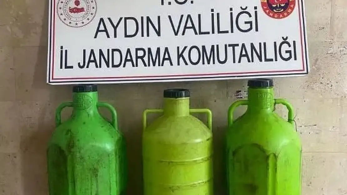 Aydın’ın Germencik ilçesinde zeytinyağı hırsızı yakalandı