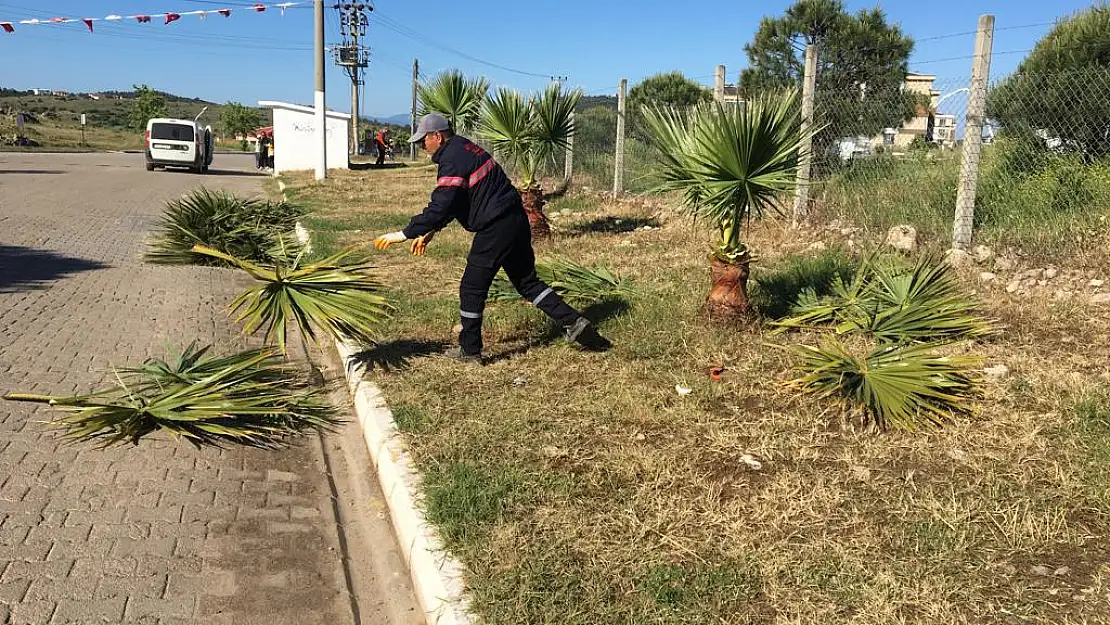 Ayvalık'ta, park ve bahçelerde temizlik çalışmaları sürüyor