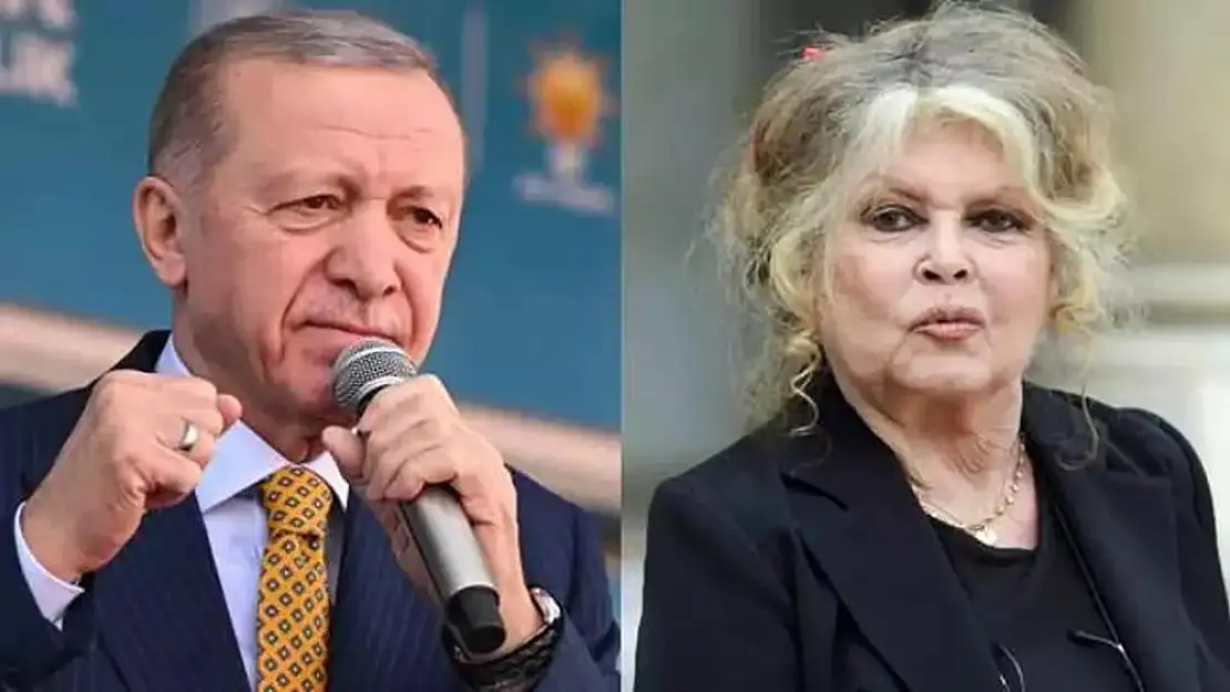 Bardot’tan Erdoğan’a sokak köpekleri çağrısı