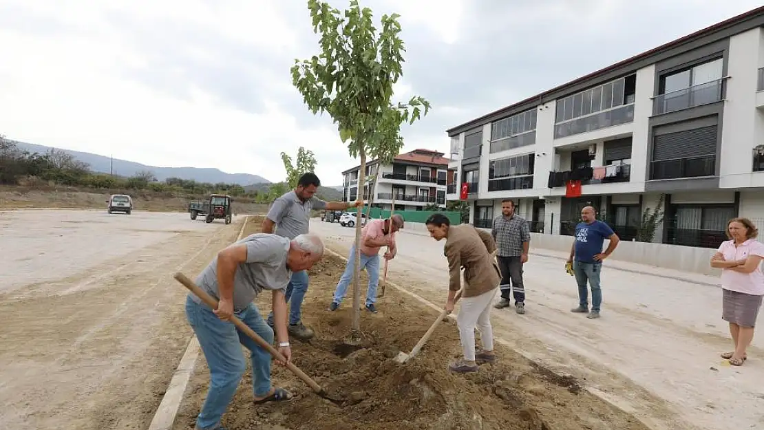 Başkan Ceritoğlu Sengel sahaya indi