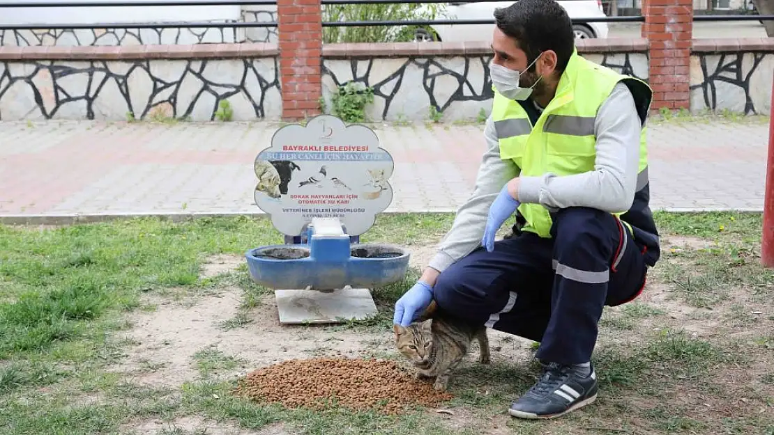 Bayraklı Belediyesi’nden can dostlara sıcak yuva ve mama desteği