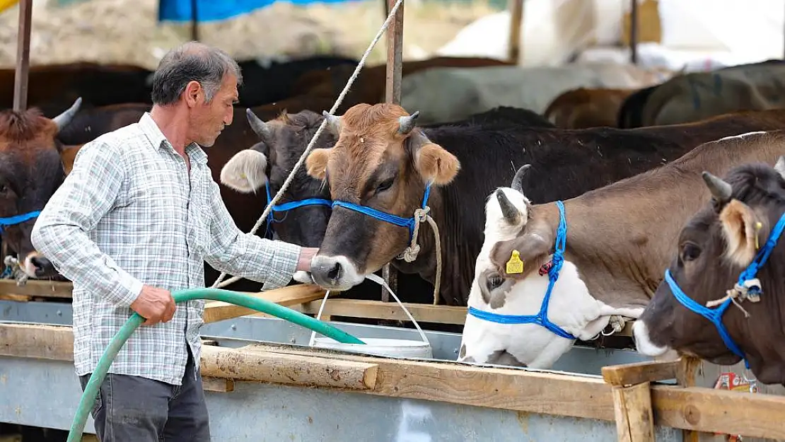 Bayraklı’da Kurban Bayramı hazırlıkları tamamlandı