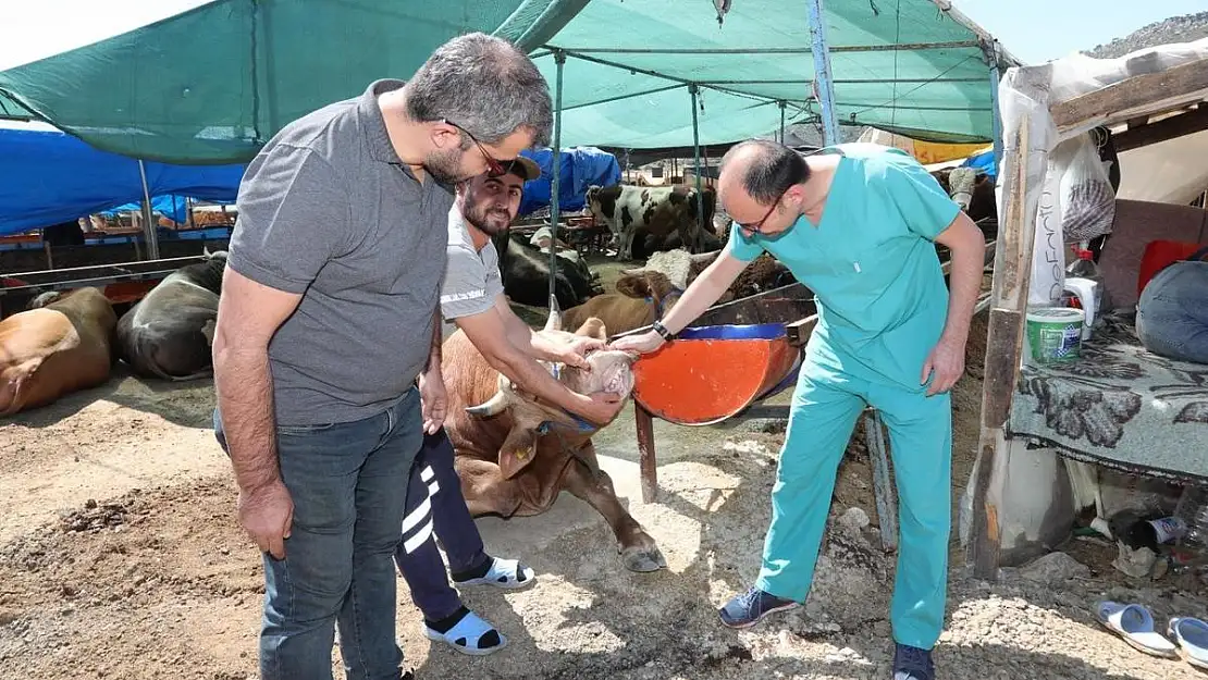 Bayraklı’da Kurban Bayramı hazırlıkları başladı