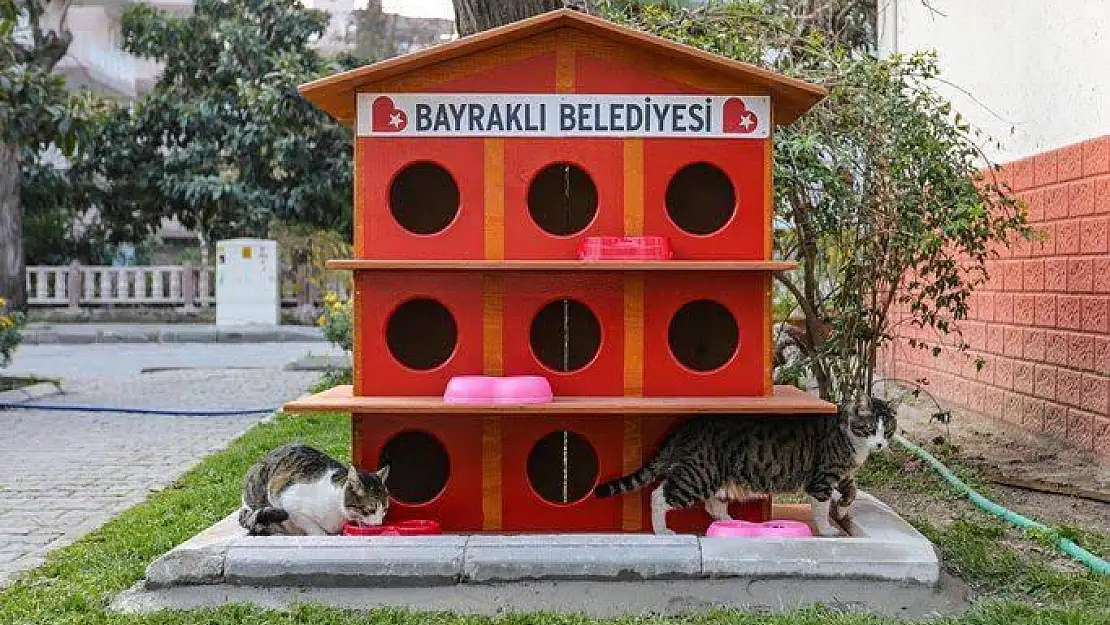 Bayraklı'ya 20. kedi evi