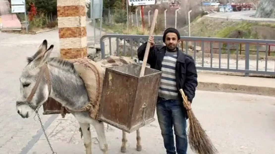 Belediyenin aldığı kadrolu eşekler kayıp!