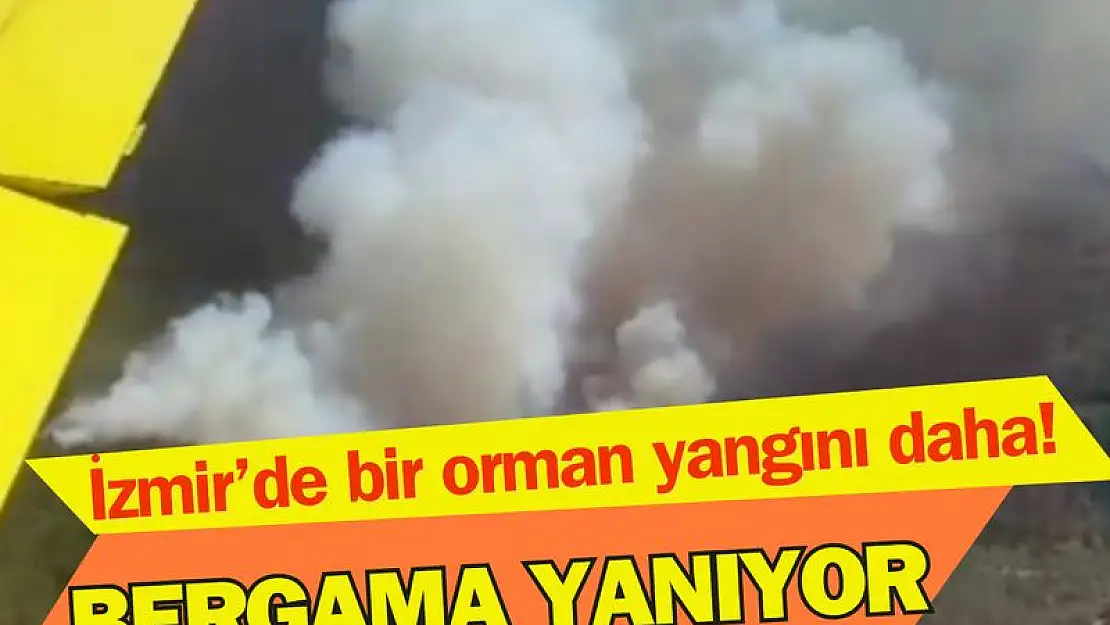 Bergama yanıyor! Havadan ve karadan müdahale sürüyor