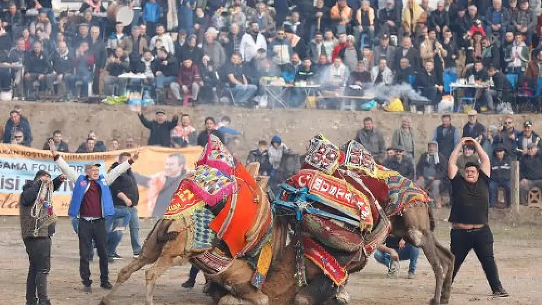 Bergama’da Folklorik Deve Gösterisi Festivali