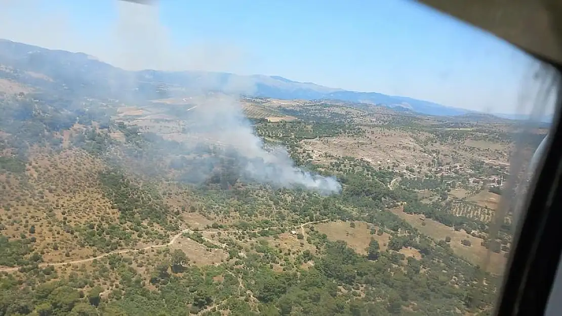 Bergama’da orman yangını!