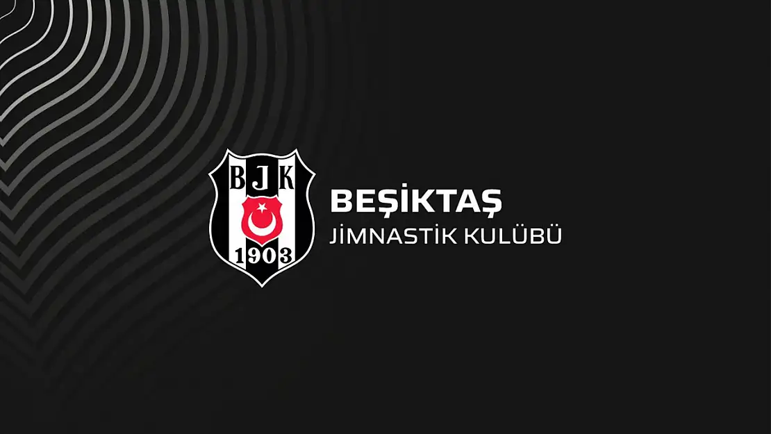 Beşiktaş Divan Kurulu Başkanlığı'ndan kınama