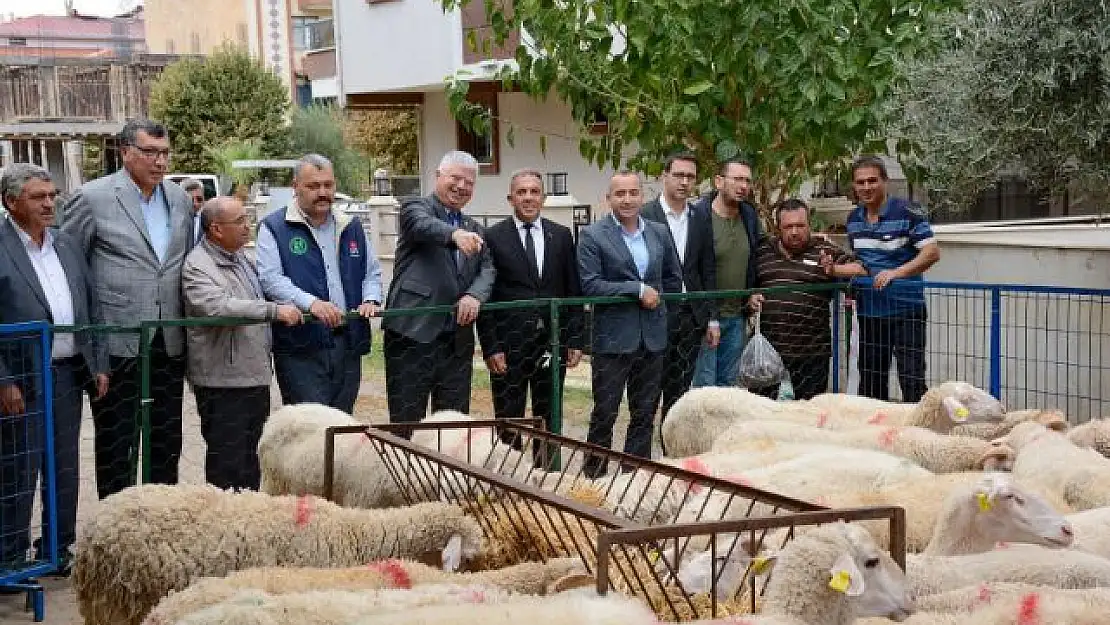 Beydağ’da küçükbaş hayvan dağıtımı yapıldı